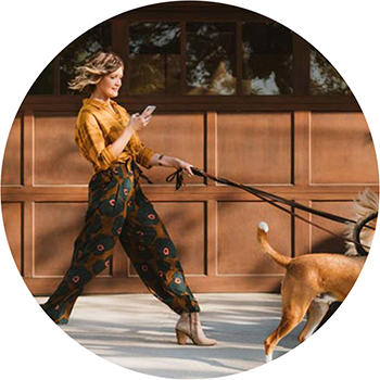 Zelle Vectra Bank Colorado