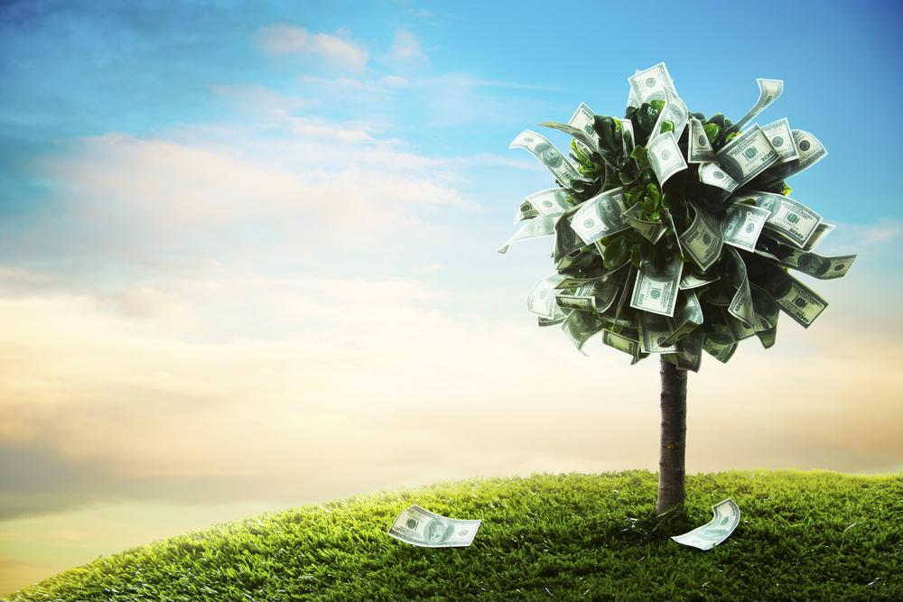 Are You Ready to Make Your First Investments?