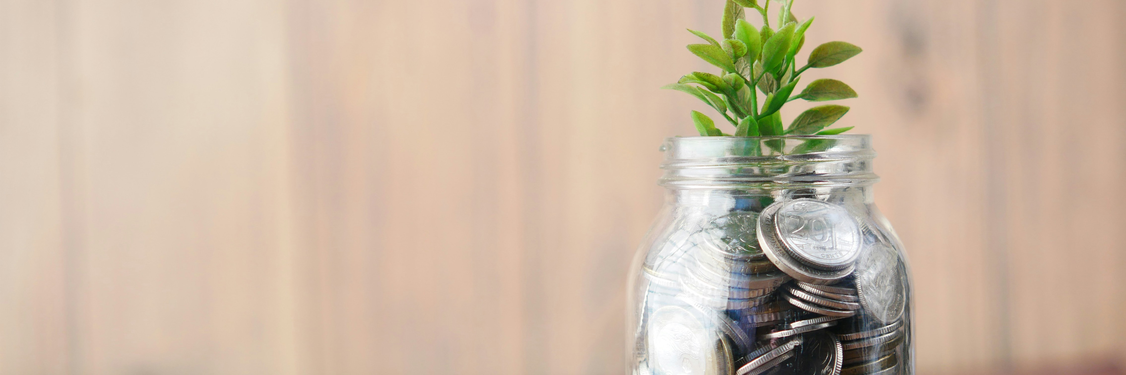 The Surge of Sustainability: How Banks Are Shaping Green Market Trends