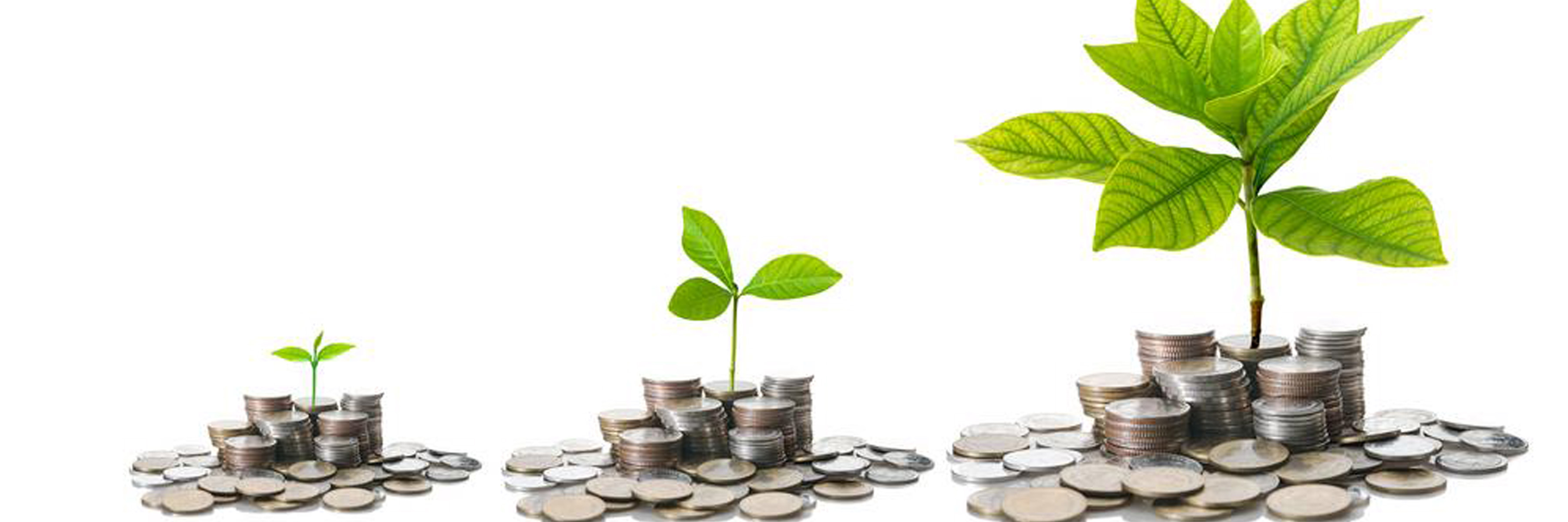 Sustainable Banking Practices in Colorado: How Banks are Promoting Environmental and Social Responsibility