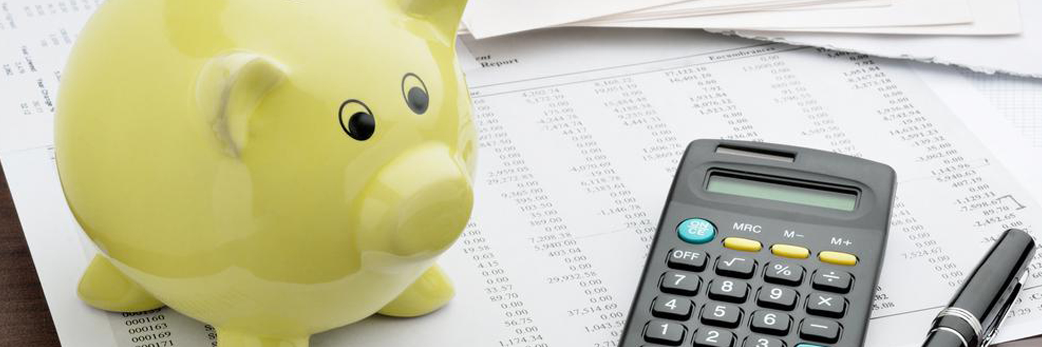 Blooming Savings: Tips for a Financial Spring Clean